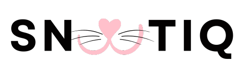 Snoutiq Logo