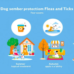 Top 15 Pet Parent Questions in India